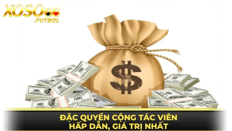 Quyền lợi cộng tác viên được đảm bảo tốt nhất